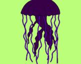 Dibuix Medusa pintat per sandro   tengo  tamrico  