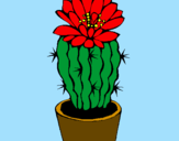 Dibuix Cactus amb flor pintat per elvina