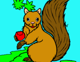 Dibuix Esquirol pintat per Judit