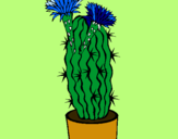 Dibuix Cactus amb flors pintat per MARGA