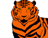 Dibuix Tigre pintat per diandra