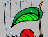 Dibuix Marieta de set punts protegida de la pluja  pintat per júlia