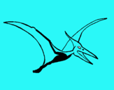 Dibuix Pterodàctil pintat per mmll