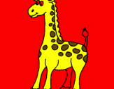 Dibuix Girafa pintat per pau