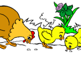 Dibuix Gallina i pollets pintat per cargol