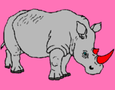 Dibuix Rinoceront pintat per AITOR