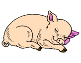 Dibuix Porc dormint pintat per yo