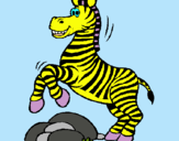 Dibuix Zebra saltant pedres pintat per Alfons