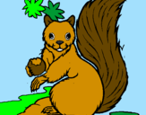 Dibuix Esquirol pintat per Berta