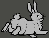 Dibuix Conill content  pintat per laura