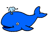 Dibuix Balena expulsant aigua pintat per 3