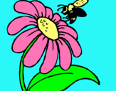 Dibuix Margarida amb abella pintat per júlia