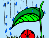 Dibuix Marieta de set punts protegida de la pluja  pintat per Mimi