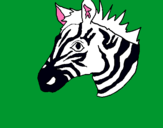 Dibuix Zebra II pintat per FERRAN