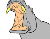 Dibuix Hipopòtam amb la boca oberta pintat per IBAI