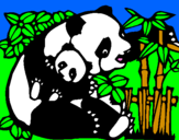 Dibuix Mare Panda pintat per Anna