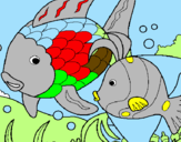 Dibuix Peixos pintat per nuria