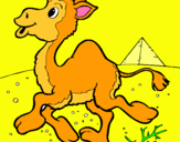 Dibuix Camell pintat per CORI   GOMEZ