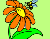 Dibuix Margarida amb abella pintat per laura