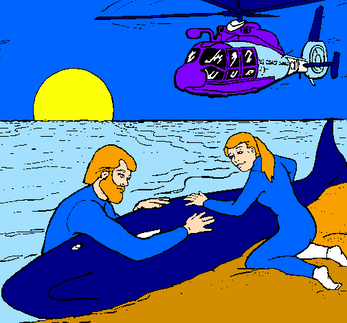 Dibuix Rescat de balena pintat per ANNA