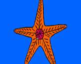 Dibuix Estrella de mar pintat per sonia lopez