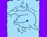 Dibuix Dofí pintat per roger
