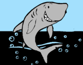 Dibuix Tiburón pintat per MERITXELL