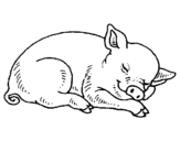 Dibuix Porc dormint pintat per marta