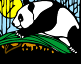 Dibuix Ós panda menjant pintat per ingrid mont 