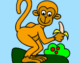 Dibuix Mono pintat per Jana