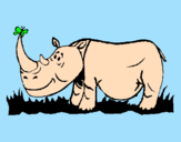 Dibuix Rinoceront i Papallona pintat per ARNAU.L.O