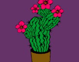 Dibuix Flors de cactus pintat per Aina Coll