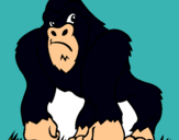 Dibuix Goril·la pintat per ibrahim