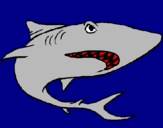 Dibuix Tiburón pintat per Elisabeth