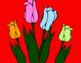 Dibuix Tulipes pintat per Herika v.c