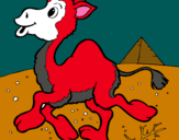 Dibuix Camell pintat per aaron
