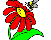 Dibuix Margarida amb abella pintat per PAULA 18