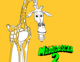 Dibuix Madagascar 2 Melman pintat per ONA