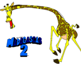 Dibuix Madagascar 2 Melman 2 pintat per vaca bu