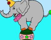 Dibuix Elefant sobre una pilota pintat per anna