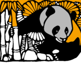 Dibuix Ós Panda i Bambú pintat per wilkin