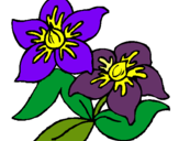Dibuix Flors pintat per lilas