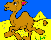 Dibuix Camell pintat per TON
