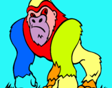 Dibuix Goril·la pintat per joan