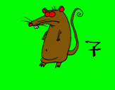Dibuix Rata pintat per POL VIÑALS