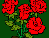 Dibuix Ram de roses pintat per catalina