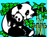 Dibuix Mare Panda pintat per xavier