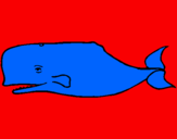 Dibuix Balena blava pintat per DAS