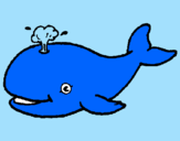 Dibuix Balena expulsant aigua pintat per stephanie  cancel   roman