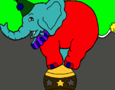 Dibuix Elefant sobre una pilota pintat per maria mira